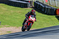 Oulton-Park-20th-March-2020;PJ-Motorsport-Photography-2020;anglesey;brands-hatch;cadwell-park;croft;donington-park;enduro-digital-images;event-digital-images;eventdigitalimages;mallory;no-limits;oulton-park;peter-wileman-photography;racing-digital-images;silverstone;snetterton;trackday-digital-images;trackday-photos;vmcc-banbury-run;welsh-2-day-enduro